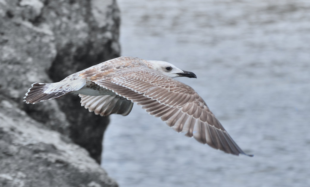 По морским бездорожьям - Оleg Beskarawayniy 