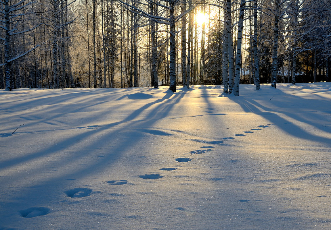Январский этюд - Василий Ахатов Январский этюд - Василий Ахатов