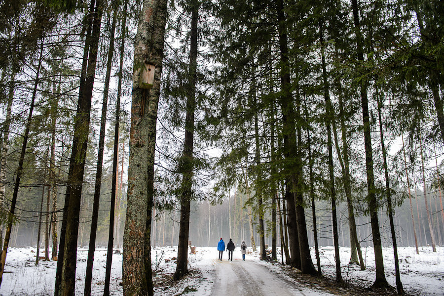 *** - Ольга Гришко