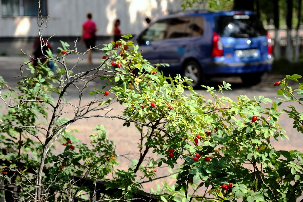 ... - Виктор Катин