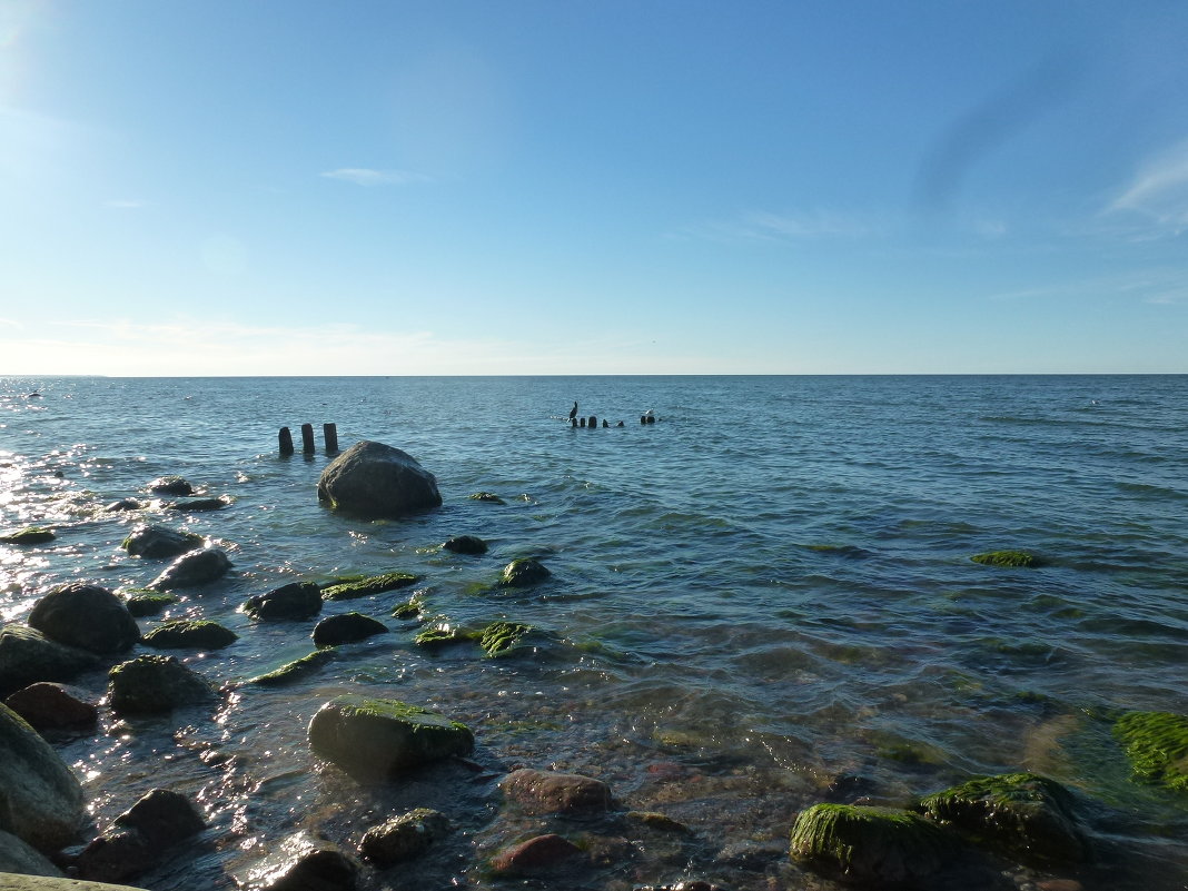 балтийское море лето - Алексей Р. 