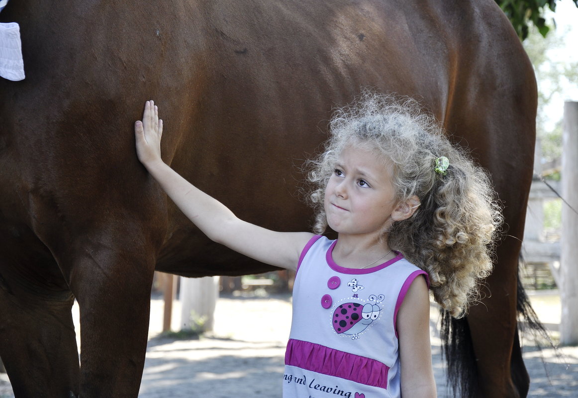 Мечта детства. - Ольга Слободянюк