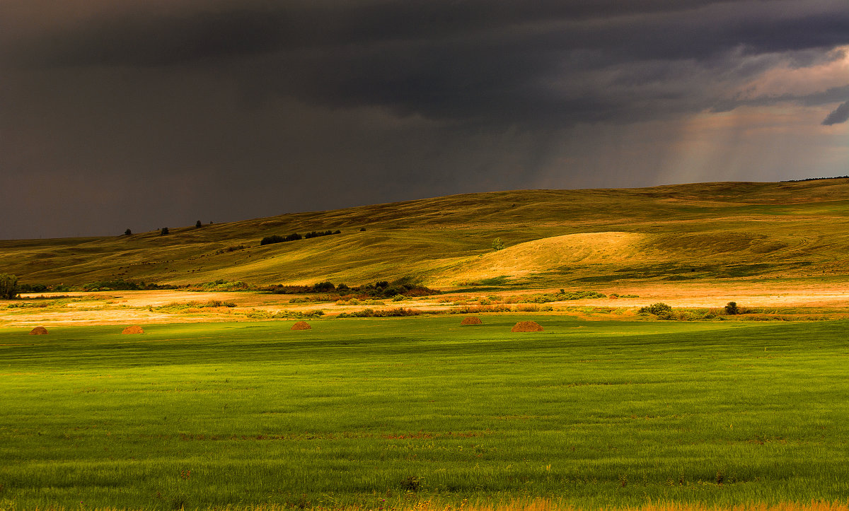 Степные просторы после дождя - Константин Шумский