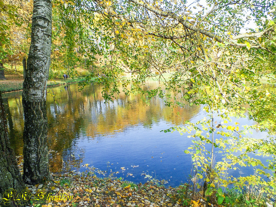 Осень - Evgenij Schleinikov