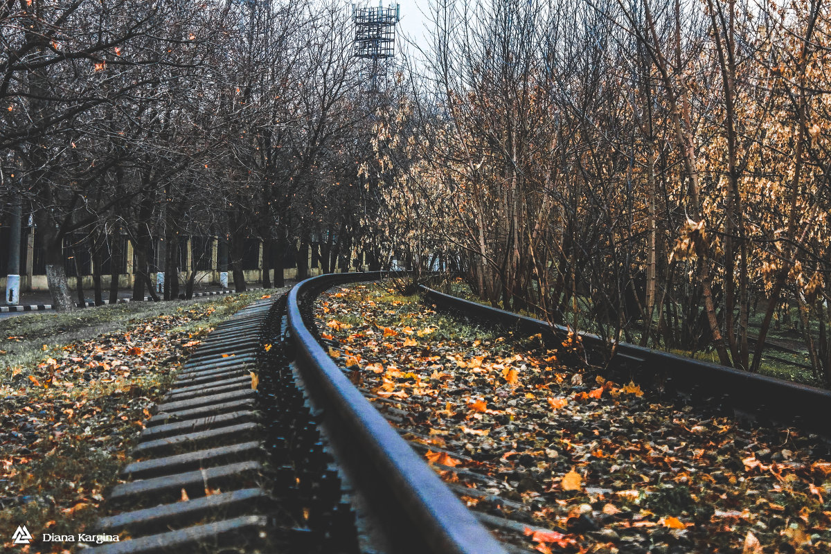 Autumn road - Диана Каргина