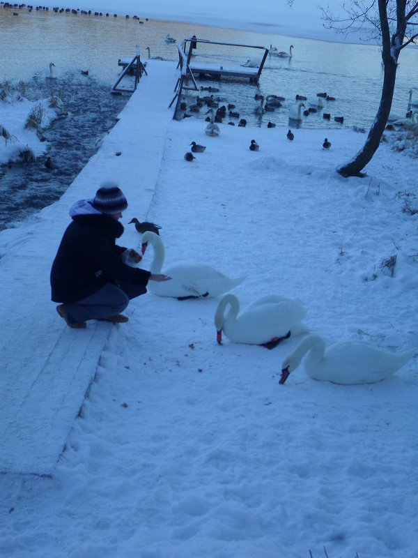 Наедине с природой... - BoxerMak Mak