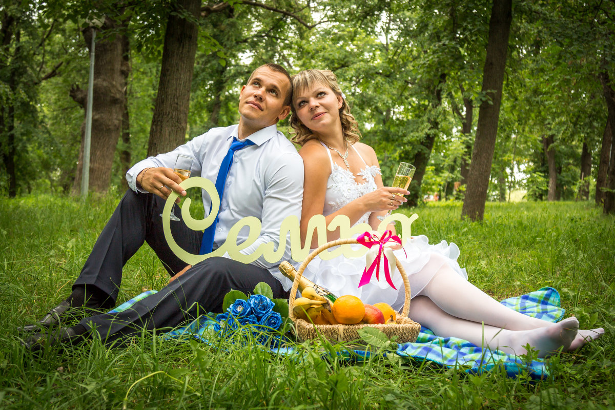 Свадебный пикник - Илья Дибров