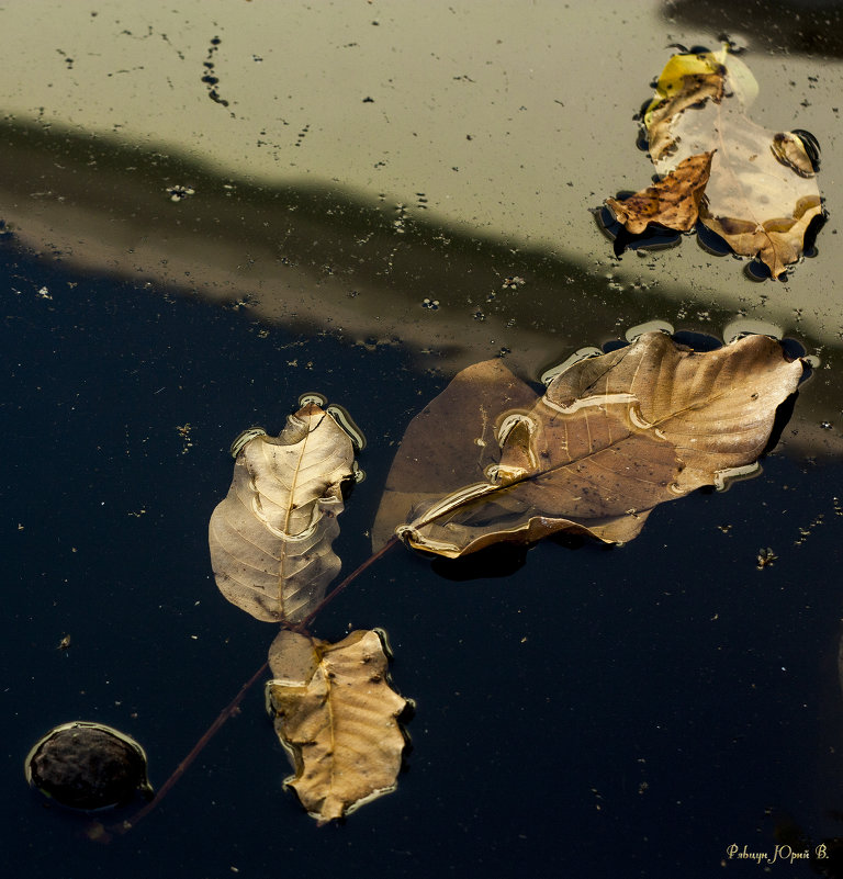 Прыжок в зиму - Юрий Рябцун Прыжок в зиму - Юрий Рябцун