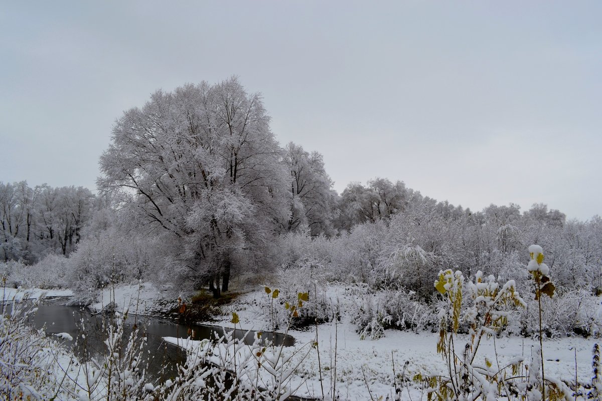 Первый снег - Tatiana Lesnykh Лесных