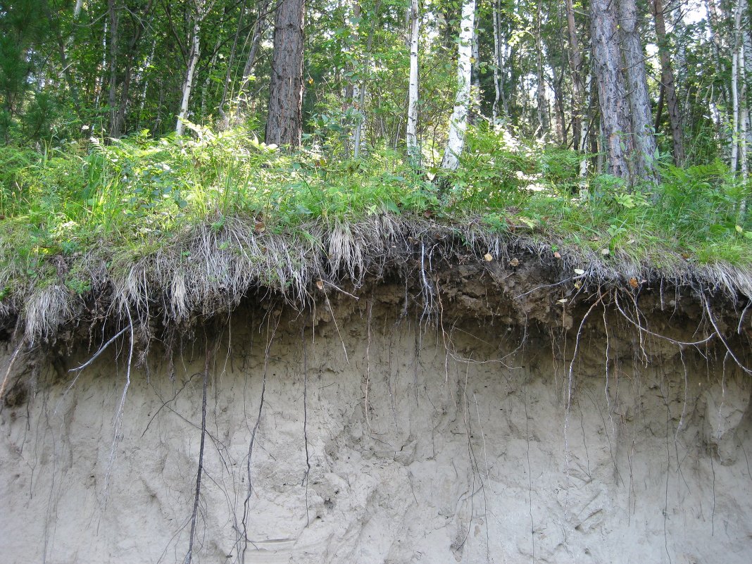 ... - Татьяна 