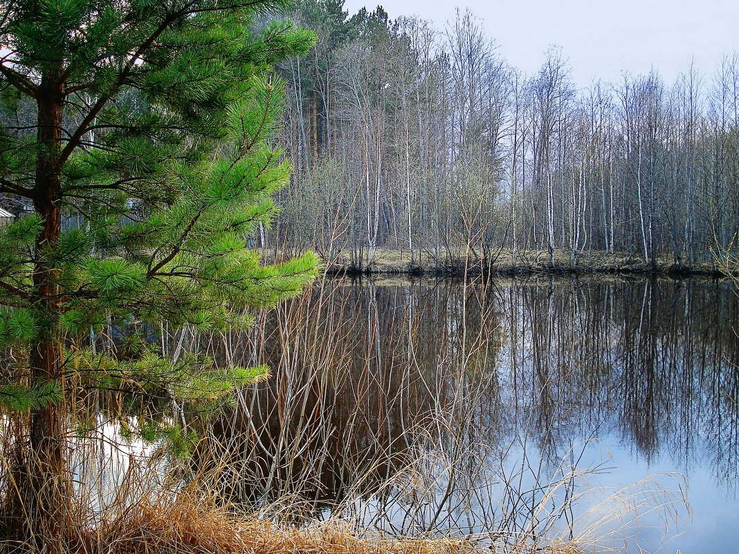 ... - Яна Магик