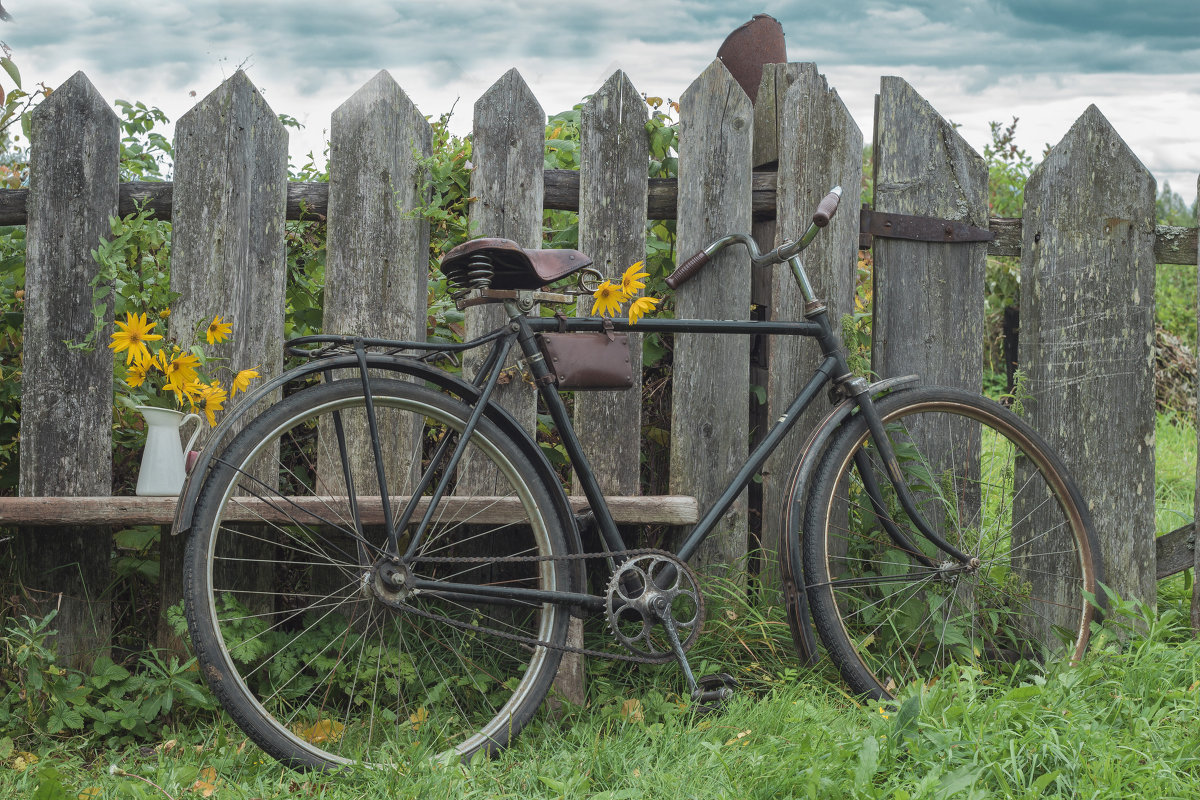 Вот и осень пришла... - Наталья 