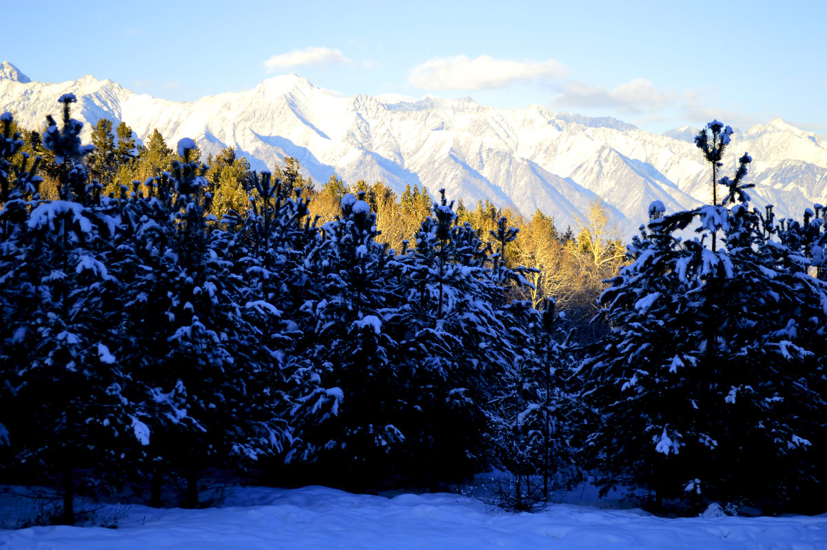 Зимний пейзаж - Александр Ефремов Зимний пейзаж - Александр Ефремов