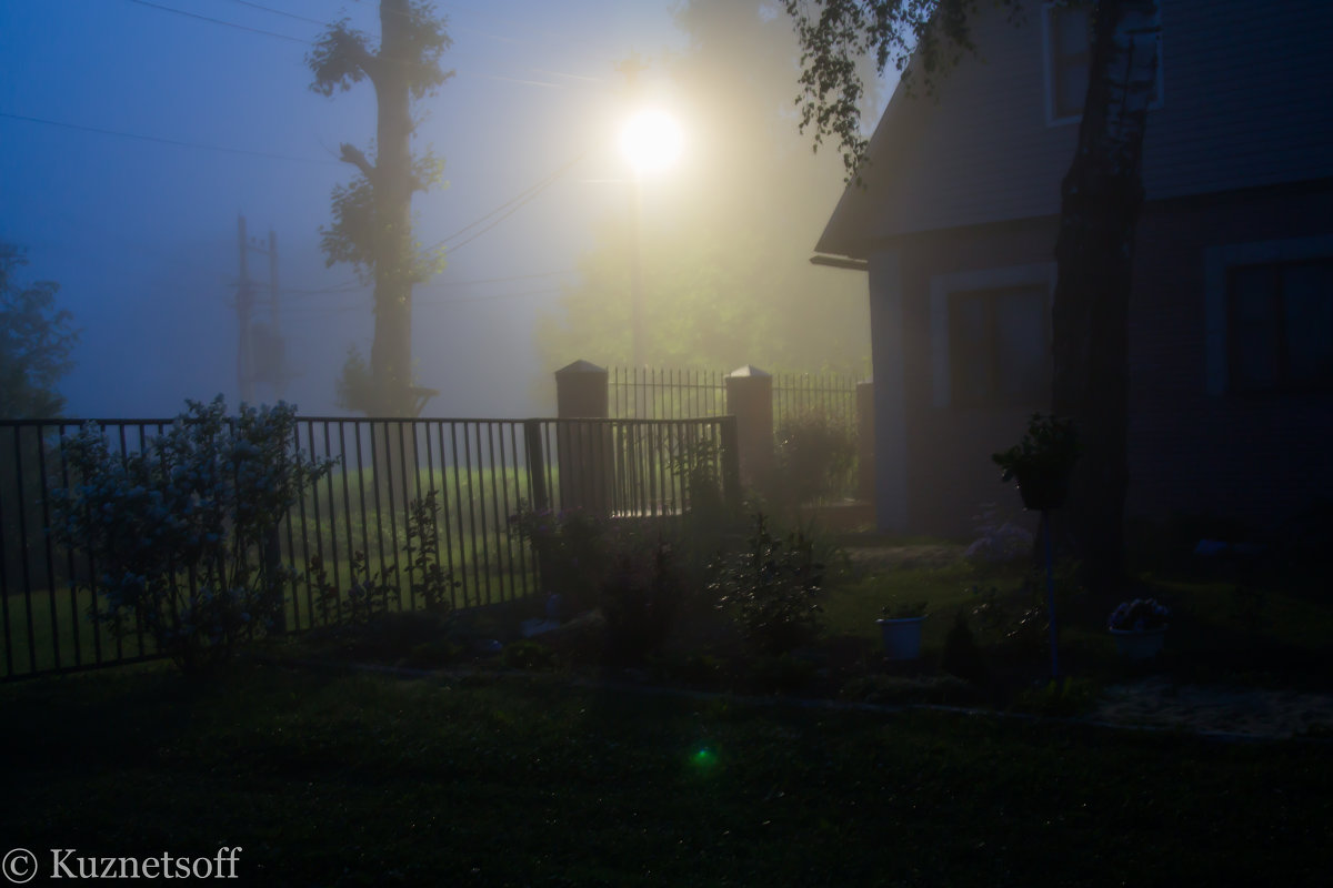 ... - Александр Кузнецов