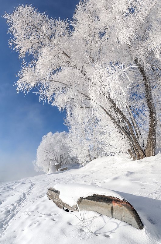 Белый плен - Егор Балясов