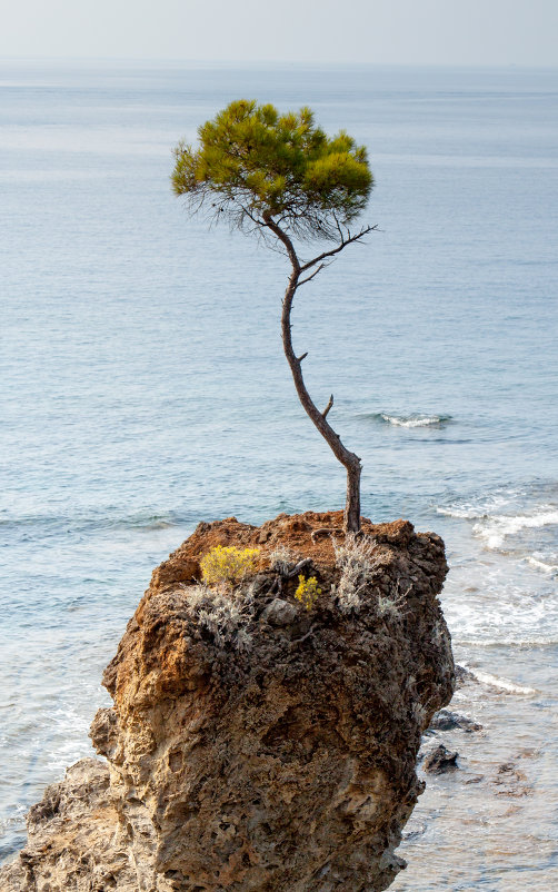 Одиночество - Dmirty Ts