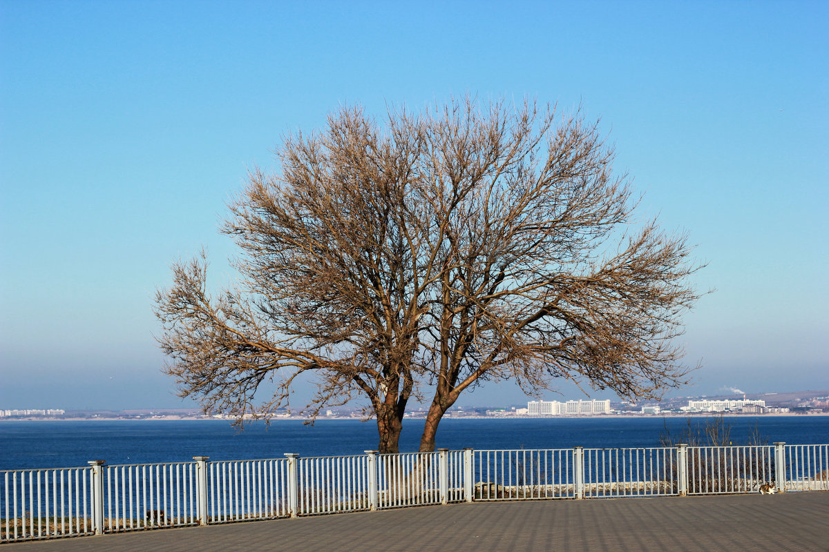 ... - Анастасия Я