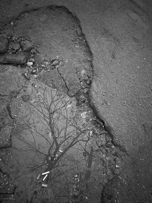 Долгая осень - Микто (Mikto) Михаил Носков