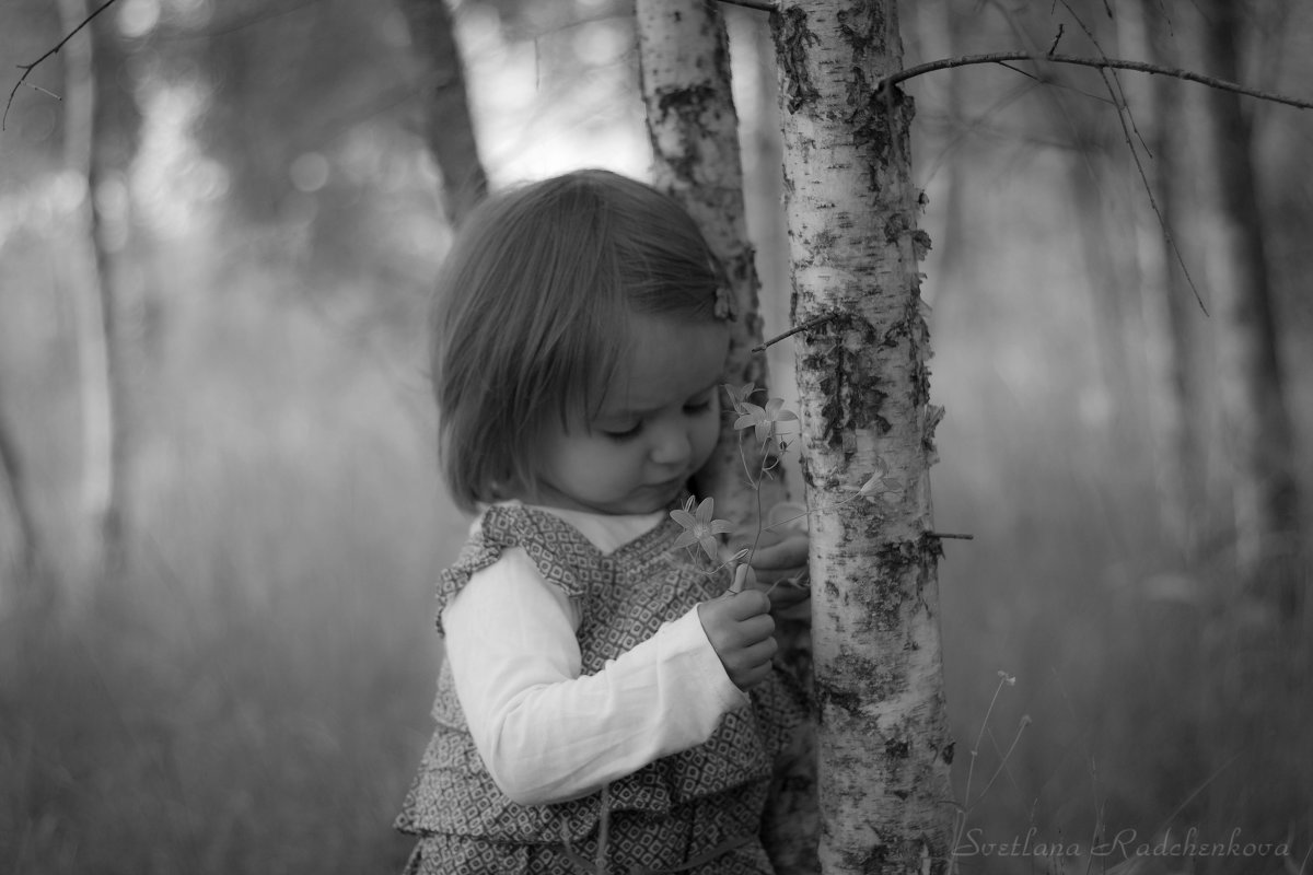 ... - Светлана Радченкова