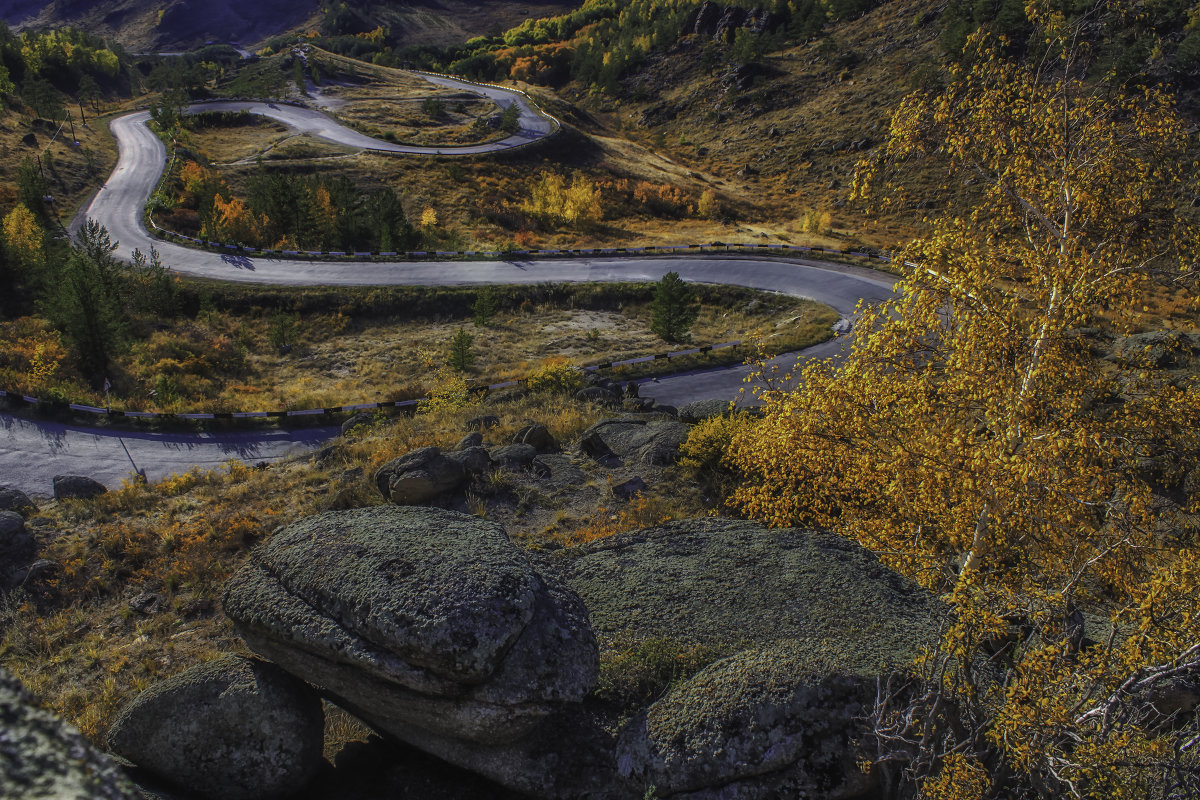 серпантин - Сергей Резниченко