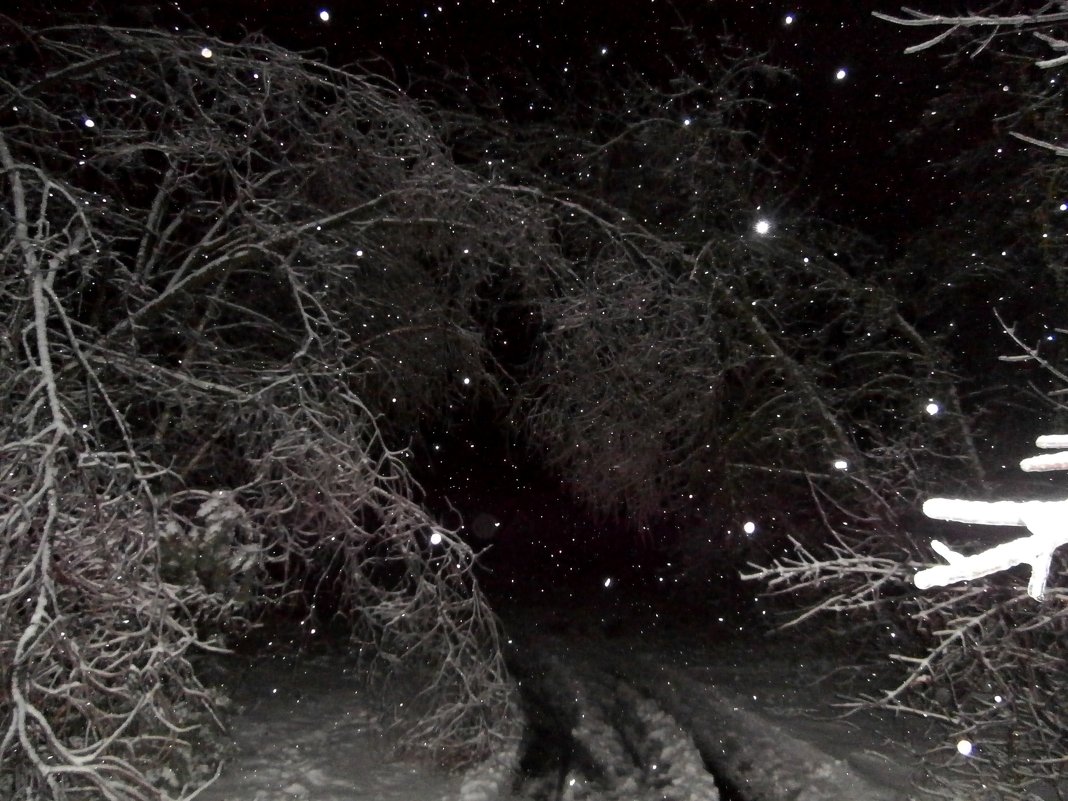 Забавы снежной королевы - Ольга Алешко