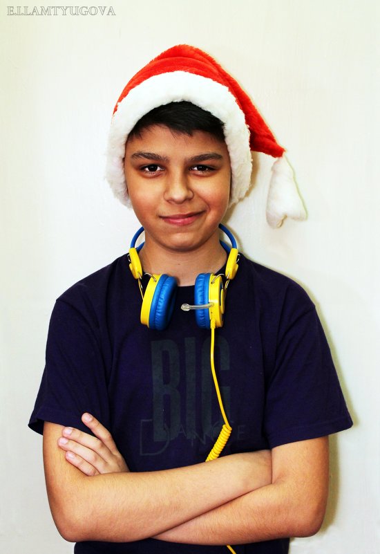 Новогоднее настроение - Евгения Ламтюгова