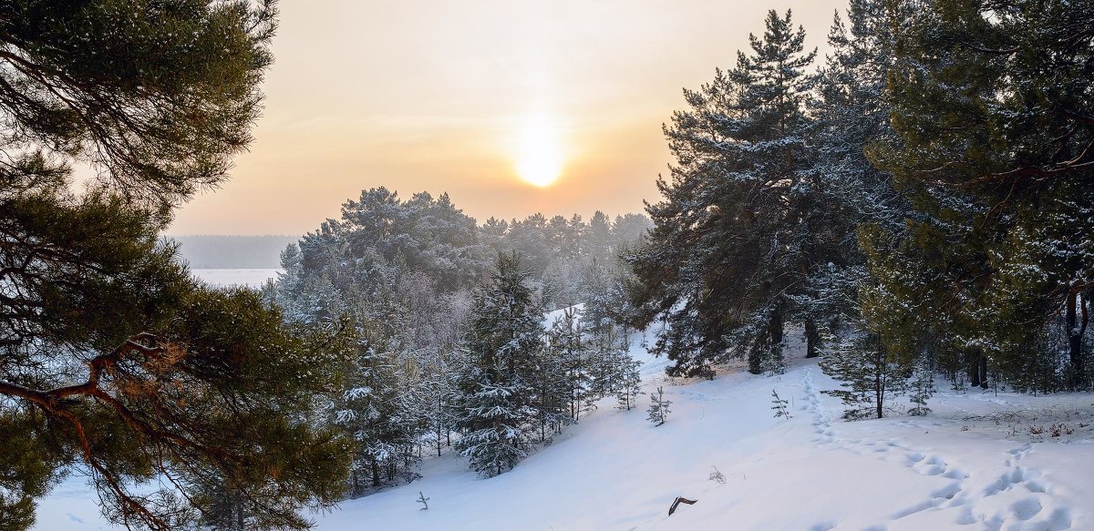 Перед закатом. - Евгений Герасименко