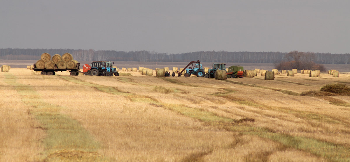 Уборка - Николай Огуля