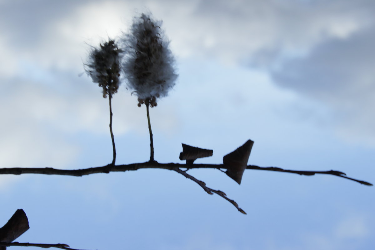 ожидание - Елена Антропова 