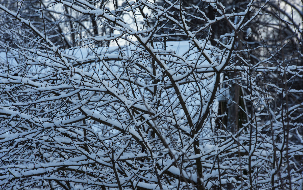 ... - Виктория Поплавская
