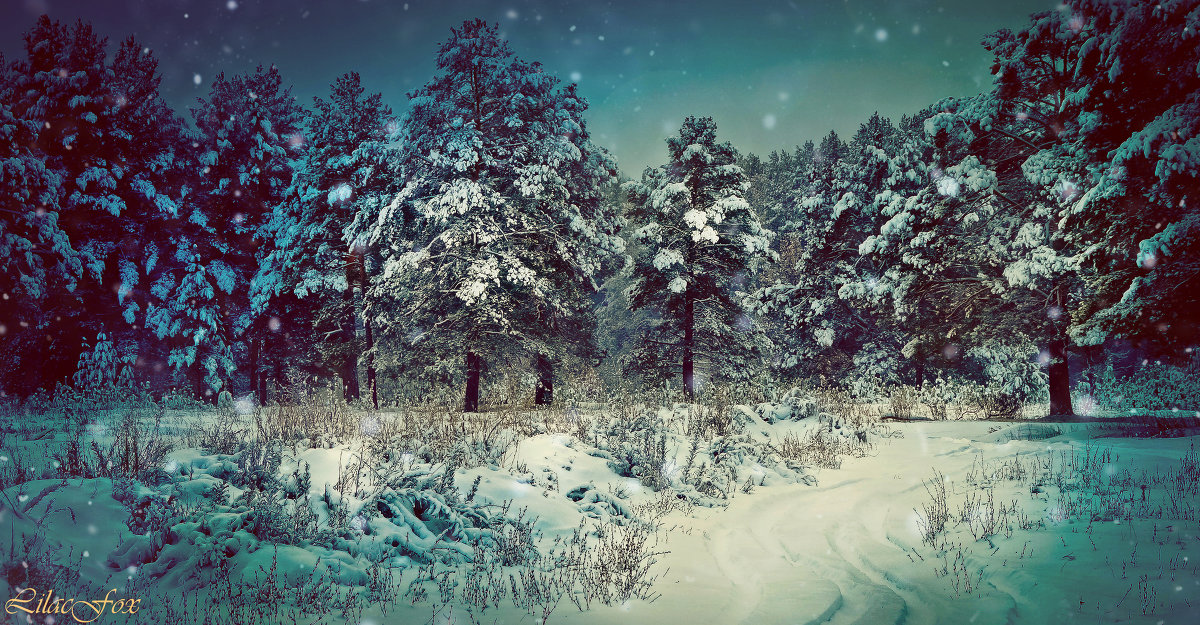 Зимняя сказка - Лиса Обыкновенная *