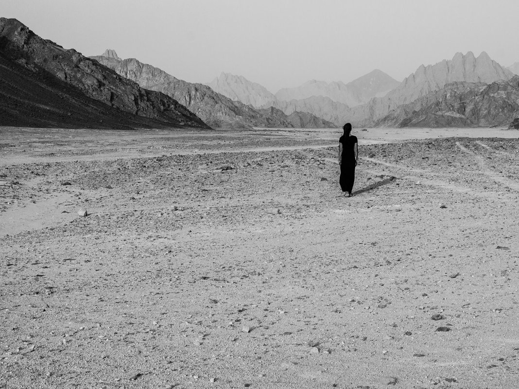 long way - Vladyslav Dushenkovkyi