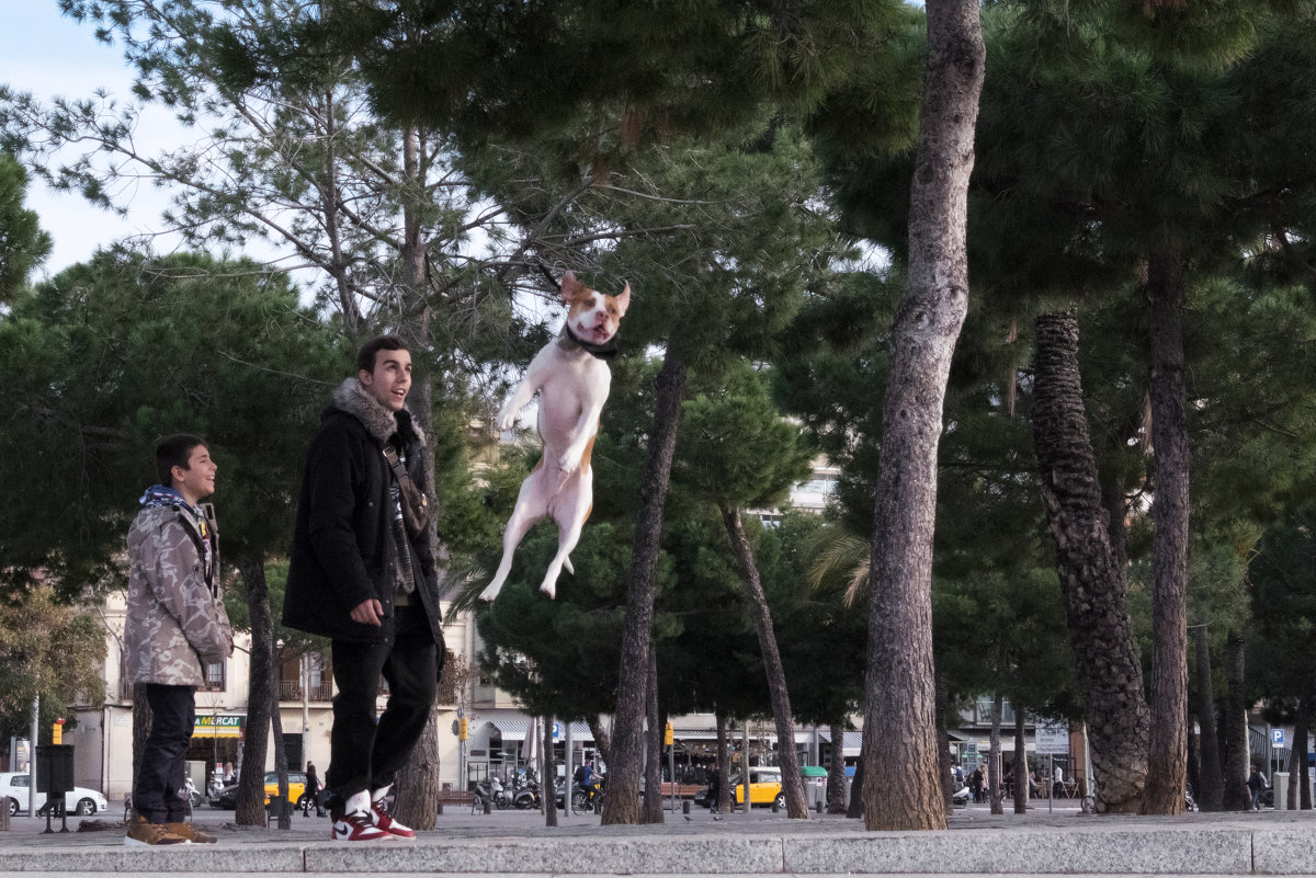 Взлет - Татьяна Выхристюк