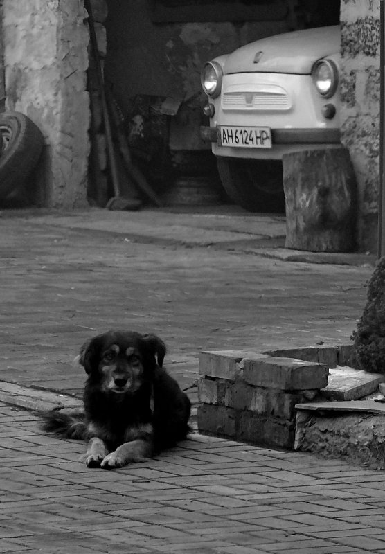 *** - Виктор Бойко