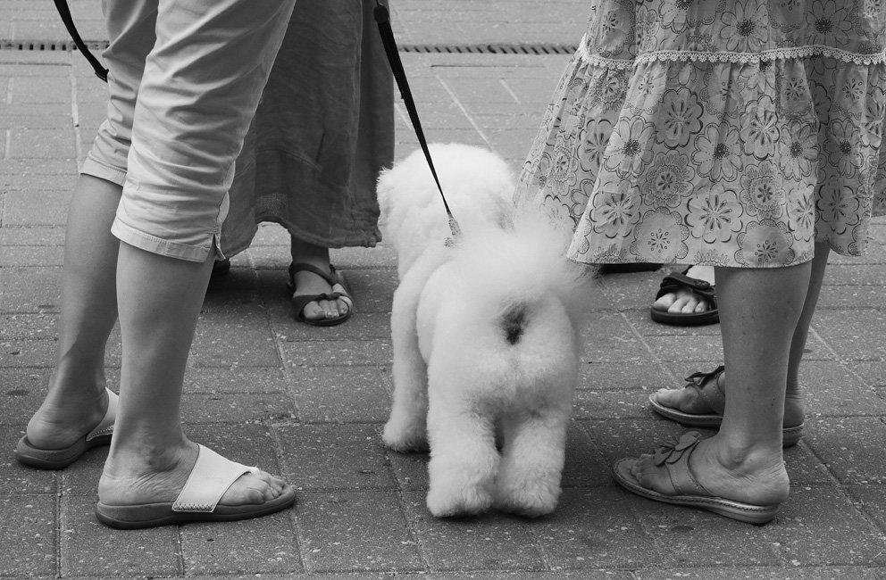 Подружки - Василий Чекорин Подружки - Василий Чекорин