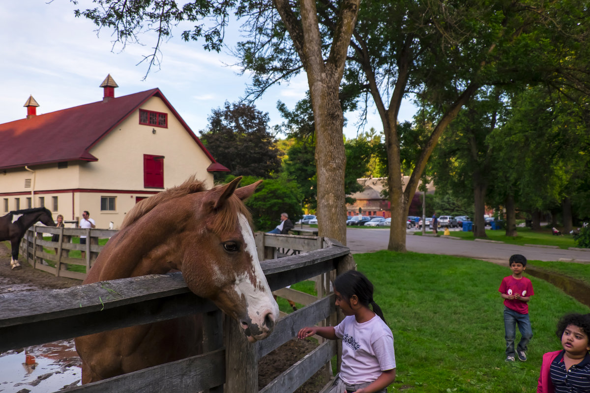 осторожное любопытство - Alexander Hersonski