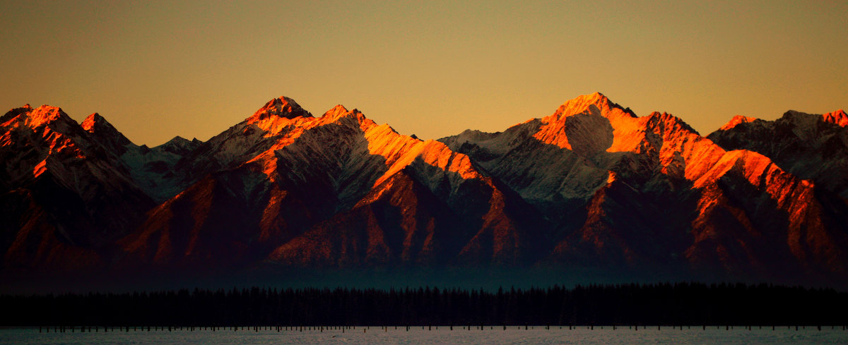 ... - Александр Ефремов