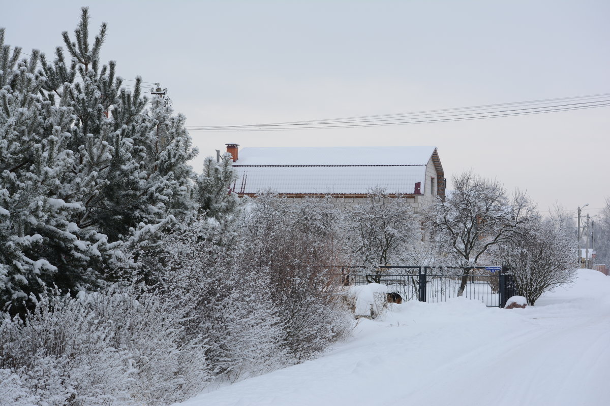 Зима в Подмосковье - Светлана Ларионова