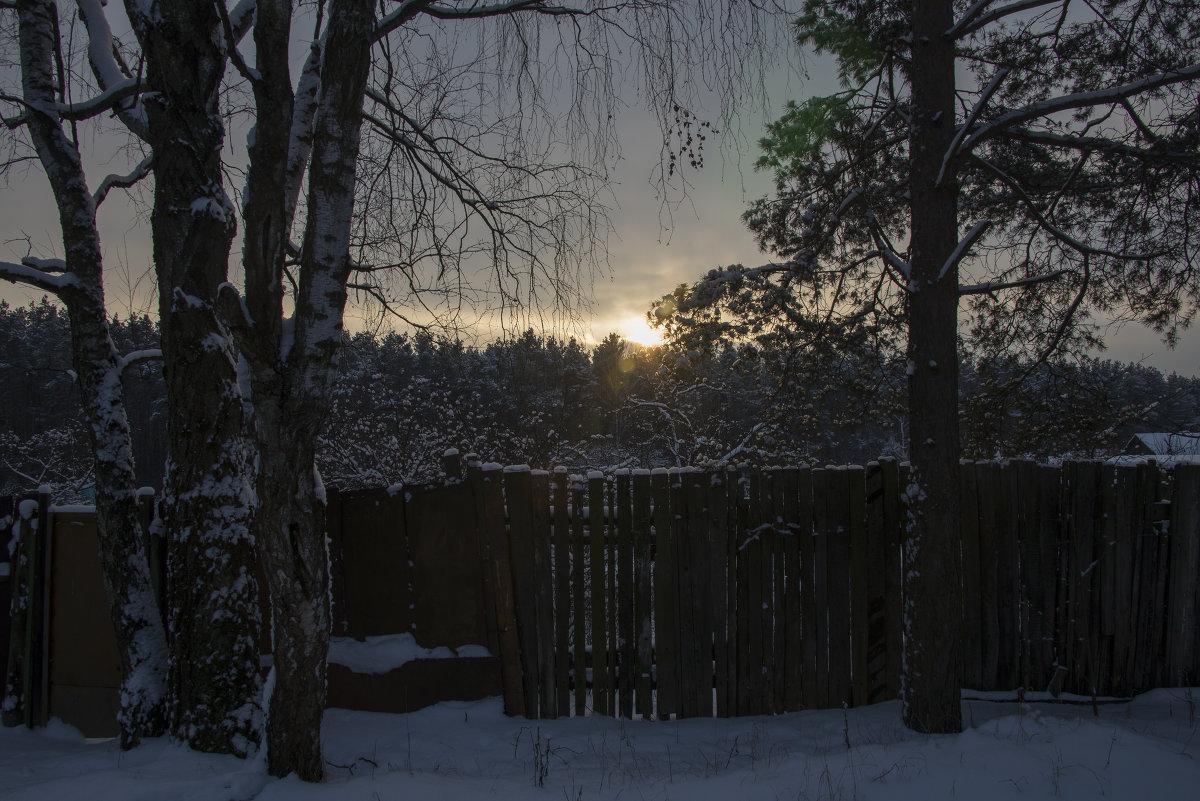 Закат над лесом. Подмосковье - Виктор М Закат над лесом. Подмосковье - Виктор М