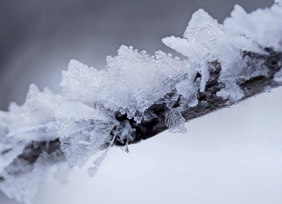 ... - Лёля Миленко