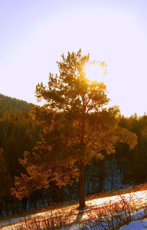 Закат в Сибири - Alexsander Varkentin