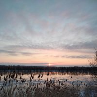 Закат над рекой. :: Динара Каймиденова