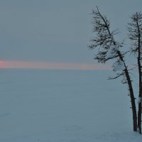 Дорога в новый день и в Новый Год. :: Владимир 