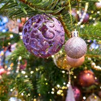 Новогоднее чудо :: ♛ Г.Король