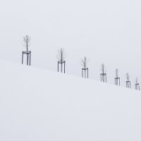 *** :: Сергей Григорьев