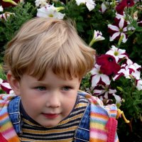 в цветах :: Valentin Orlov