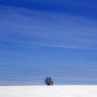 Один в поле не воин... :: Анастасия Северюхина