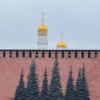 Золотоглавая :: Ирина Картина