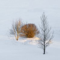 ... :: Любовь Перевозникова