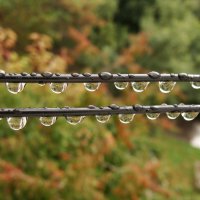 Осень :: Сергей 